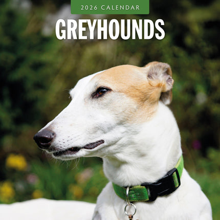 Red Robin Greyhound Kalender 2026