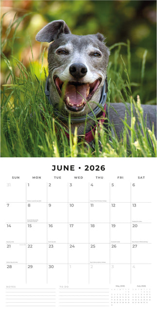 Red Robin Greyhound Kalender 2026