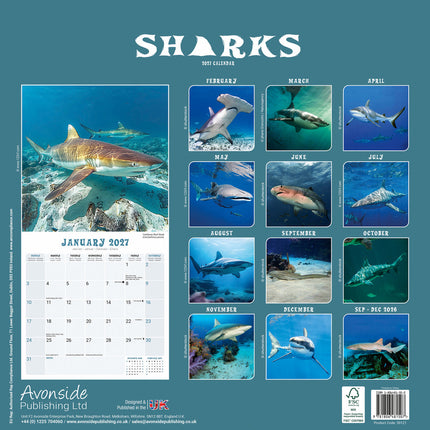 Red Robin Haaien Kalender 2027