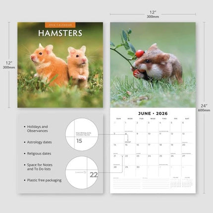 Red Robin Hamster Kalender 2026