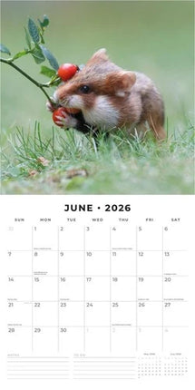 Red Robin Hamster Kalender 2026