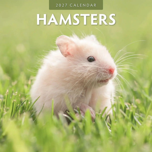 Red Robin Hamster Kalender 2027