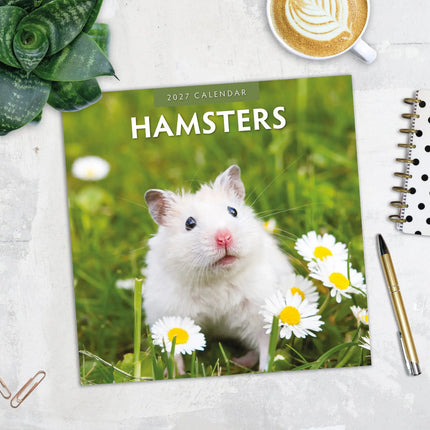 Red Robin Hamster Kalender 2027