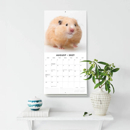 Red Robin Hamster Kalender 2027