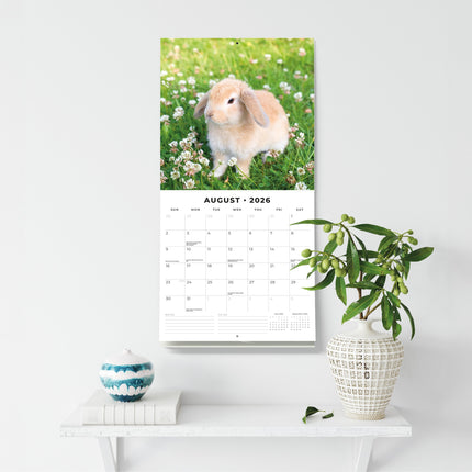 Red Robin Hangoor Konijnen Kalender 2026