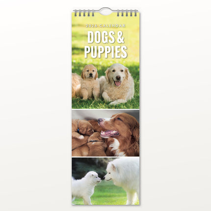 Red Robin Honden en Puppies Slimline Kalender 2027