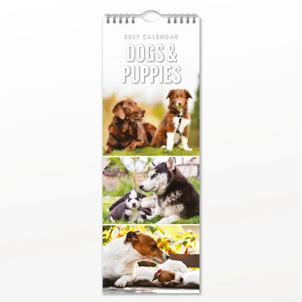Red Robin Honden en Puppies Slimline Kalender 2027