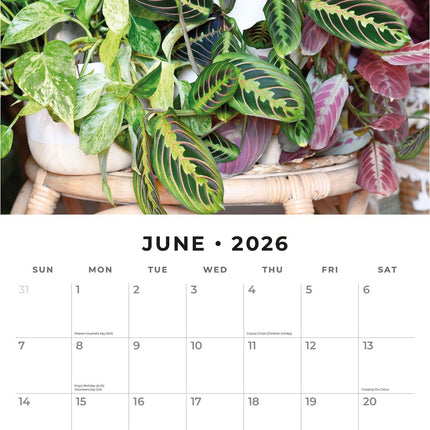 Red Robin House Plants Kalender 2026