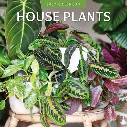 Red Robin House Plants Kalender 2027
