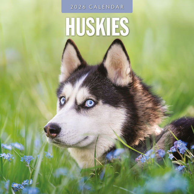 Red Robin Husky Kalender 2026