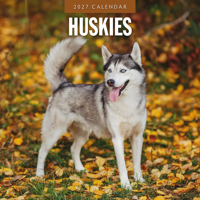 Red Robin Husky Kalender 2027