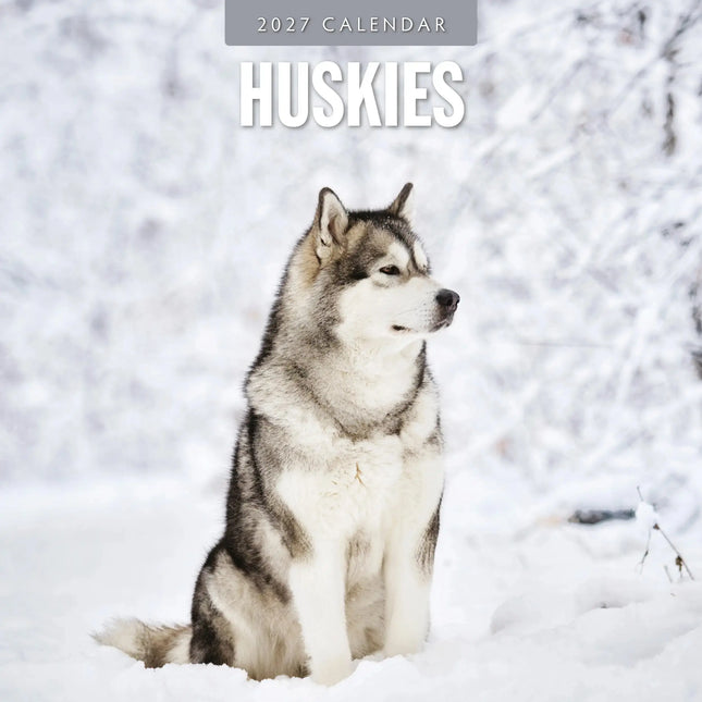 Red Robin Husky Kalender 2027