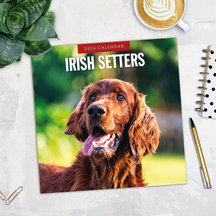 Red Robin Ierse Setter Kalender 2026