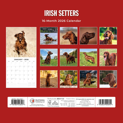 Red Robin Ierse Setter Kalender 2026