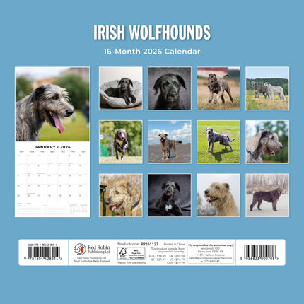 Red Robin Ierse Wolfshond Kalender 2026
