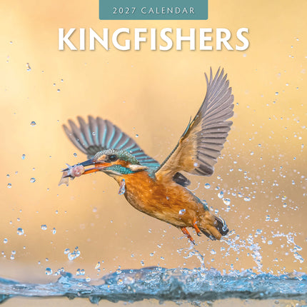 Red Robin IJsvogel Kalender 2027