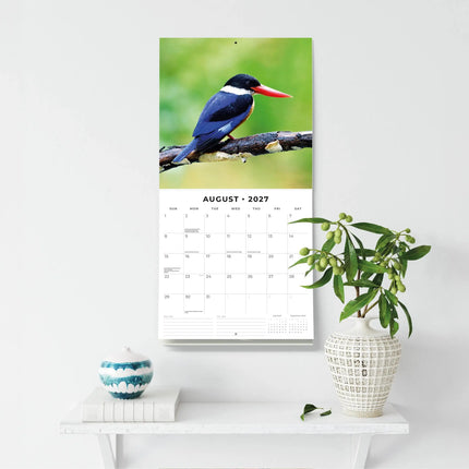 Red Robin IJsvogel Kalender 2027