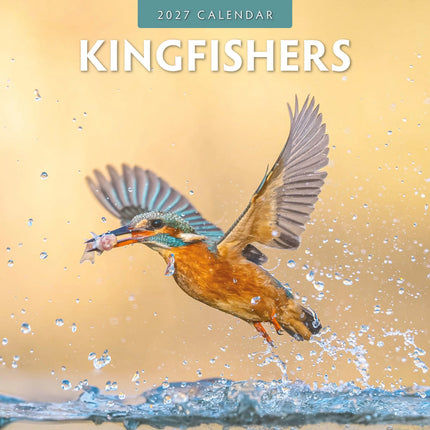 Red Robin IJsvogel Kalender 2027