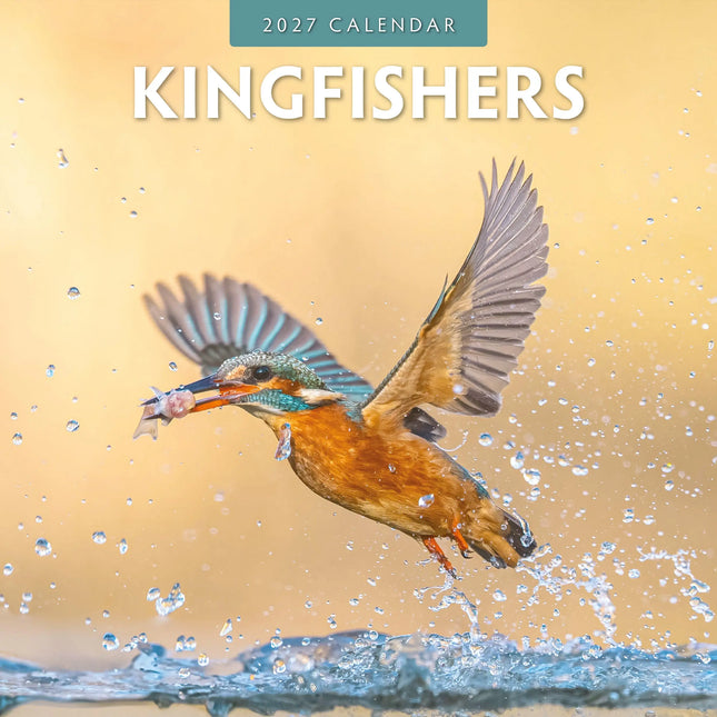 Red Robin IJsvogel Kalender 2027