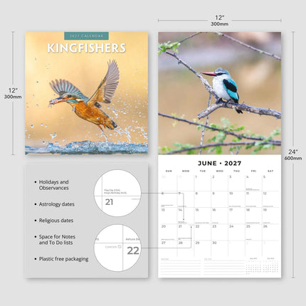 Red Robin IJsvogel Kalender 2027