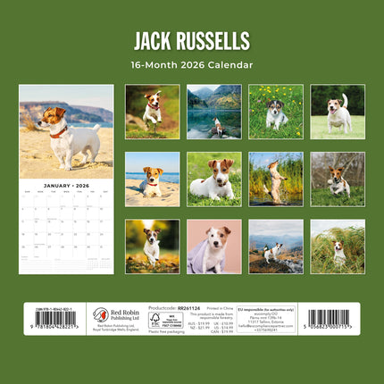 Red Robin Jack Russell Terrier Kalender 2026