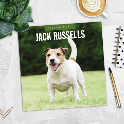 Red Robin Jack Russell Terrier Kalender 2026