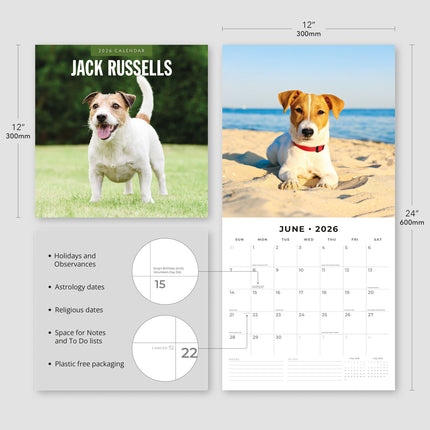 Red Robin Jack Russell Terrier Kalender 2026