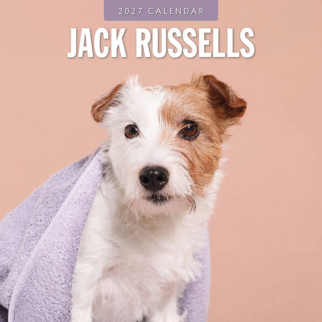 Red Robin Jack Russell Terrier Kalender 2027
