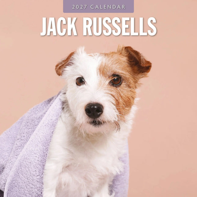 Red Robin Jack Russell Terrier Kalender 2027