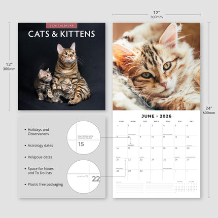 Red Robin Katten en Kittens Kalender 2026