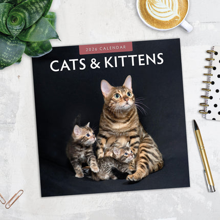 Red Robin Katten en Kittens Kalender 2026