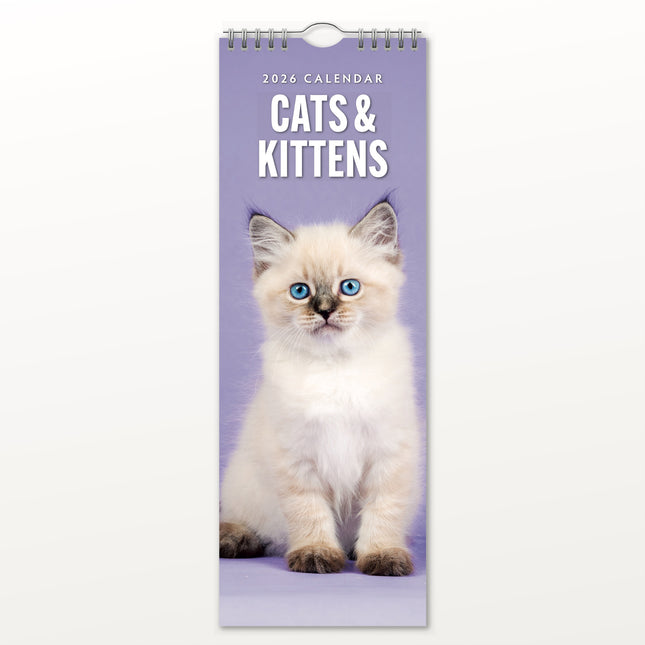 Red Robin Katten en Kittens Slimline Kalender 2026