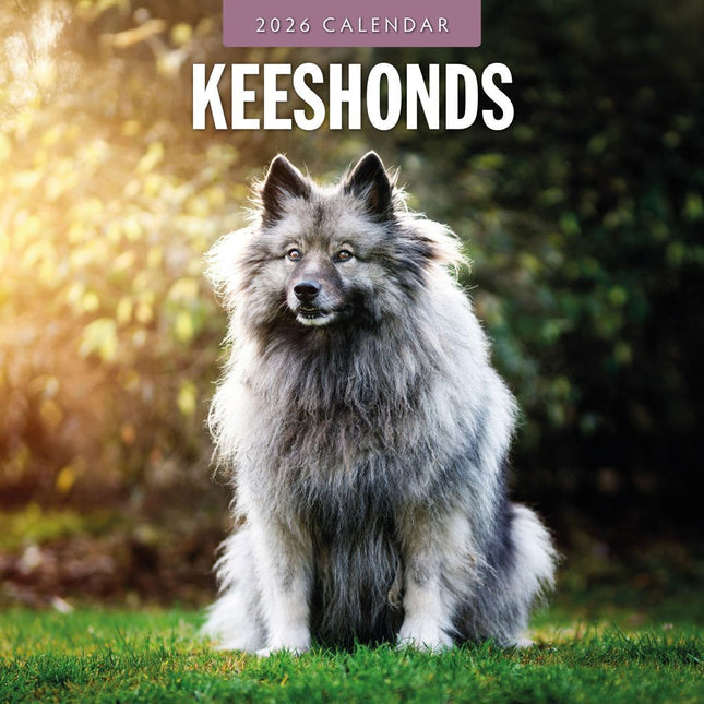 Red Robin Keeshond Kalender 2026