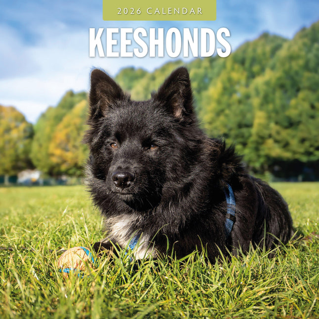 Red Robin Keeshond Kalender 2026