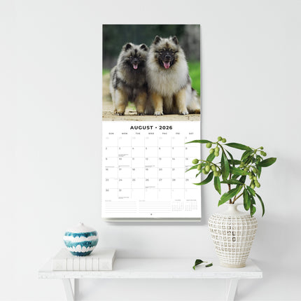 Red Robin Keeshond Kalender 2026