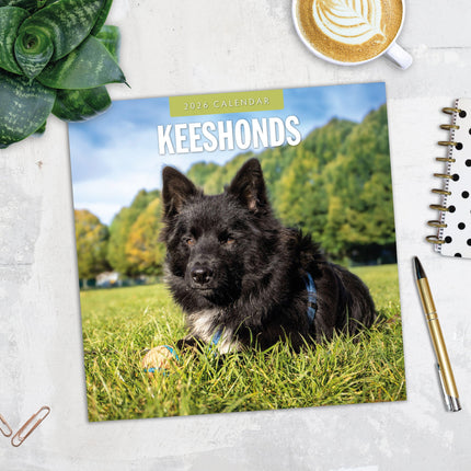Red Robin Keeshond Kalender 2026