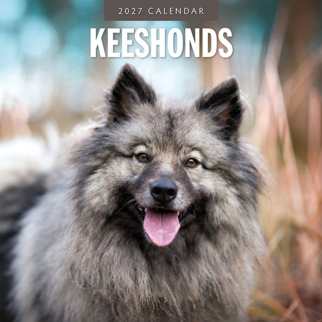 Red Robin Keeshond Kalender 2027