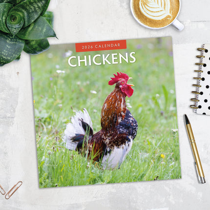 Red Robin Kippen Kalender 2026