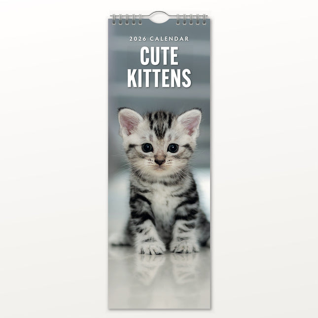 Red Robin Kittens Slimline Kalender 2026