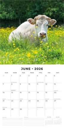 Red Robin Koeien Kalender 2026