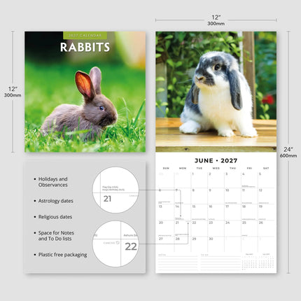 Red Robin Konijnen Kalender 2027