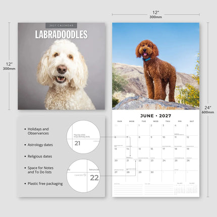 Red Robin Labradoodle Kalender 2027