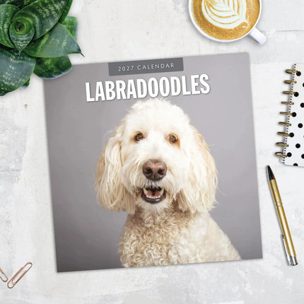 Red Robin Labradoodle Kalender 2027