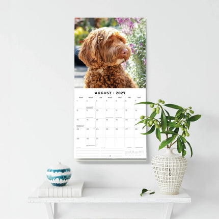 Red Robin Labradoodle Kalender 2027