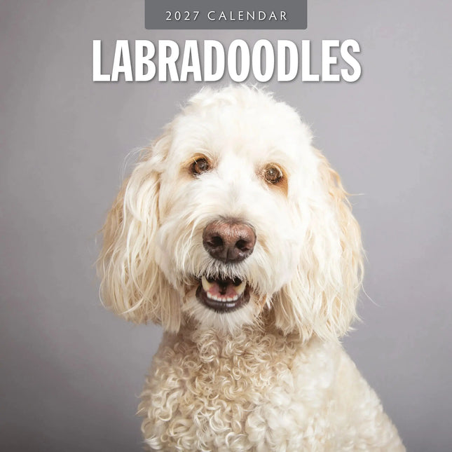 Red Robin Labradoodle Kalender 2027