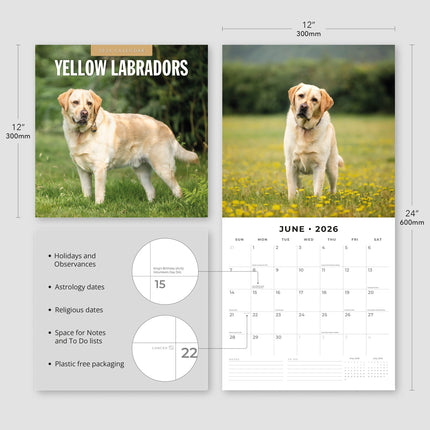 Red Robin Labrador Retriever Blond Kalender 2026