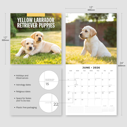 Red Robin Labrador Retriever Blond Puppies Kalender 2026