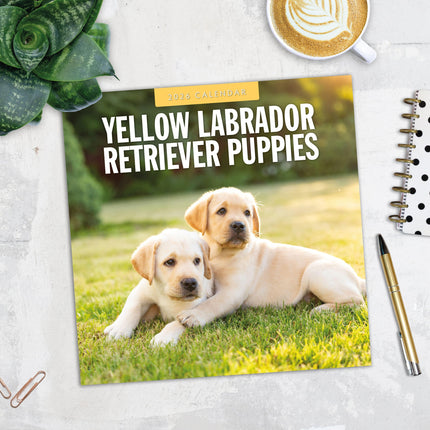 Red Robin Labrador Retriever Blond Puppies Kalender 2026