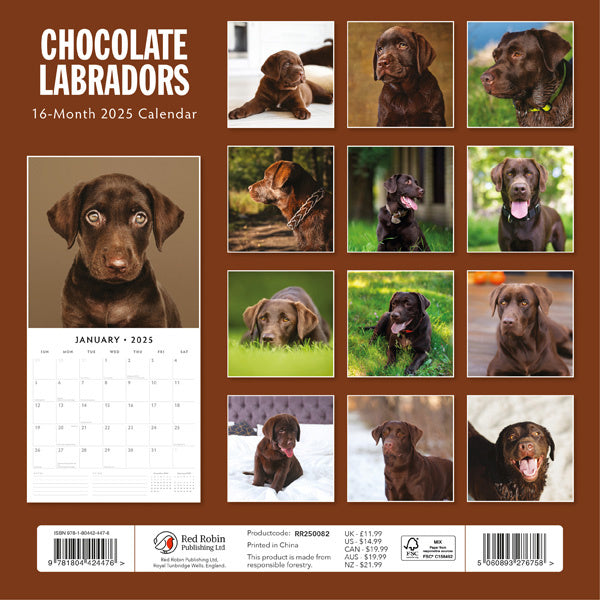 Red Robin Labrador Retriever Bruin Kalender 2025