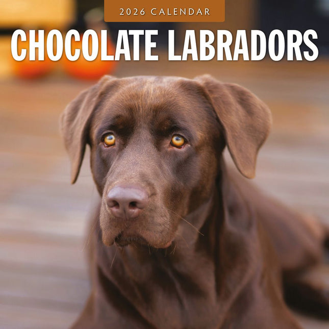 Red Robin Labrador Retriever Bruin Kalender 2026